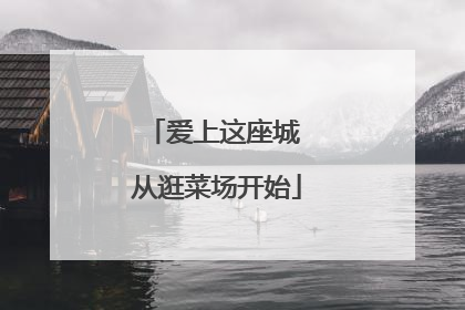 爱上这座城 从逛菜场开始