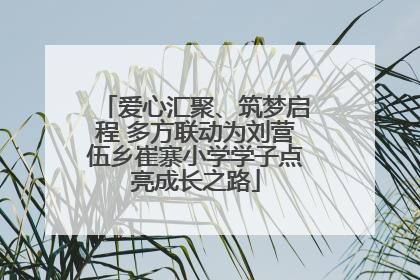 爱心汇聚、筑梦启程 多方联动为刘营伍乡崔寨小学学子点亮成长之路