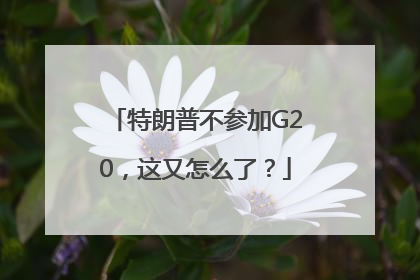 特朗普不参加G20，这又怎么了？
