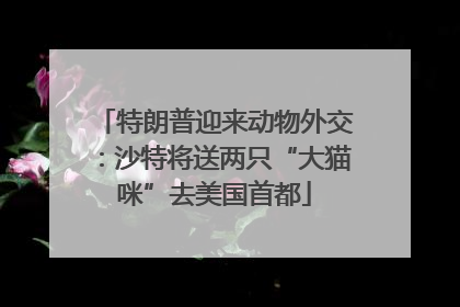 特朗普迎来动物外交：沙特将送两只“大猫咪”去美国首都