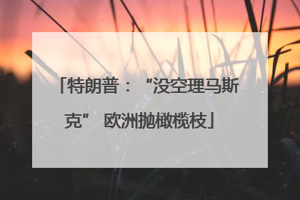 特朗普：“没空理马斯克” 欧洲抛橄榄枝