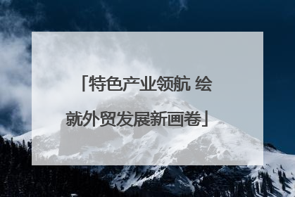 特色产业领航 绘就外贸发展新画卷