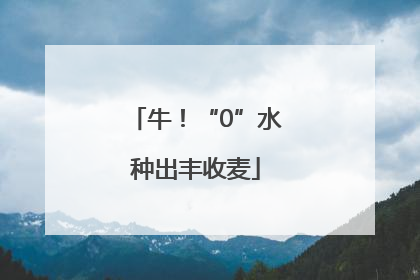 牛！“0”水种出丰收麦