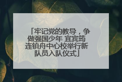 牢记党的教导，争做强国少年 宜宾筠连镇舟中心校举行新队员入队仪式