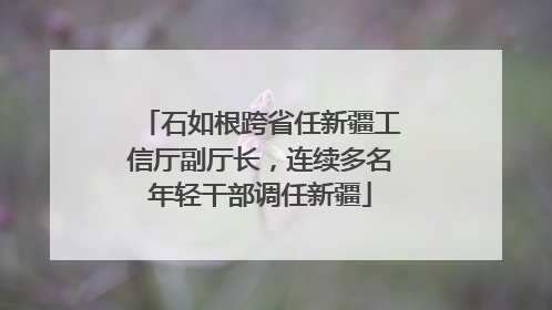 石如根跨省任新疆工信厅副厅长，连续多名年轻干部调任新疆