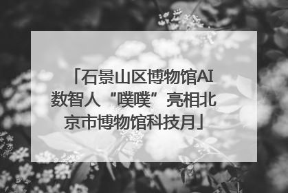 石景山区博物馆AI数智人“噗噗”亮相北京市博物馆科技月