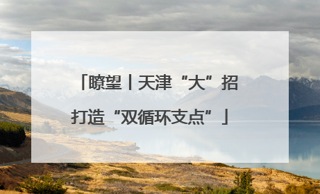 瞭望丨天津“大”招打造“双循环支点”