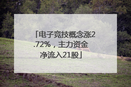 电子竞技概念涨2.72%，主力资金净流入21股