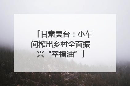 甘肃灵台：小车间榨出乡村全面振兴“幸福油”