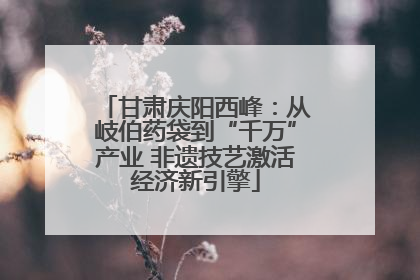 甘肃庆阳西峰：从岐伯药袋到“千万”产业 非遗技艺激活经济新引擎