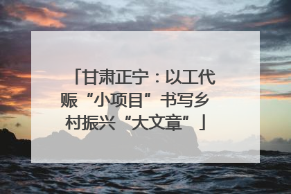 甘肃正宁：以工代赈“小项目”书写乡村振兴“大文章”