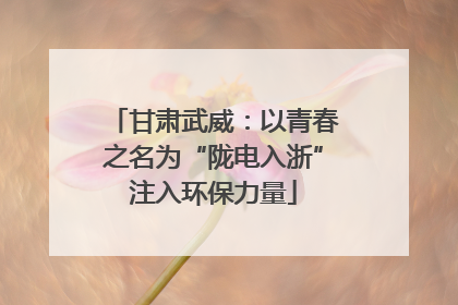 甘肃武威：以青春之名为“陇电入浙”注入环保力量