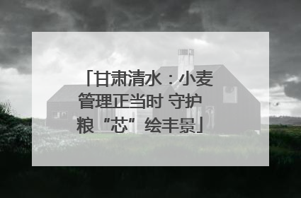 甘肃清水：小麦管理正当时 守护粮“芯”绘丰景