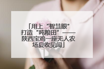 用上“智慧眼” 打造“吨粮田”——陕西宝鸡一座无人农场夏收见闻