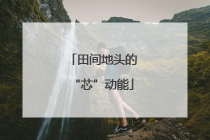 田间地头的“芯”动能