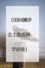 田间测评会上选优种学农技