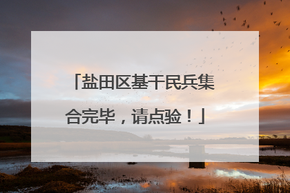 盐田区基干民兵集合完毕，请点验！