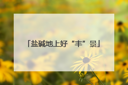 盐碱地上好“丰”景