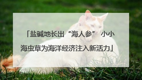盐碱地长出“海人参” 小小海虫草为海洋经济注入新活力