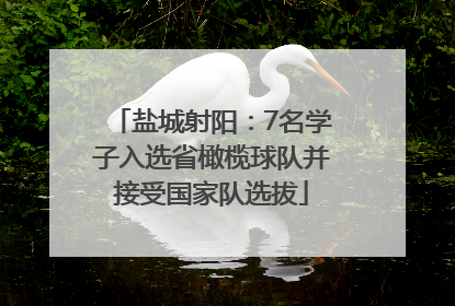 盐城射阳：7名学子入选省橄榄球队并接受国家队选拔