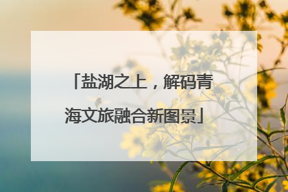 盐湖之上，解码青海文旅融合新图景