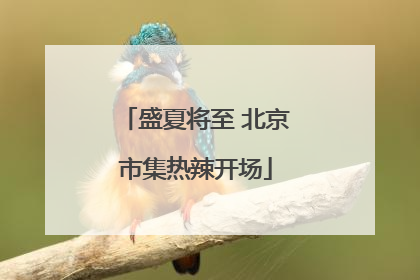 盛夏将至 北京市集热辣开场
