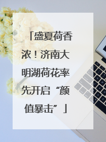 盛夏荷香浓！济南大明湖荷花率先开启“颜值暴击”