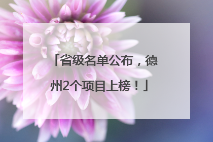 省级名单公布，德州2个项目上榜！