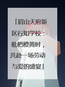 眉山天府新区行知学校：枇杷橙黄时，共赴一场劳动与爱的盛宴
