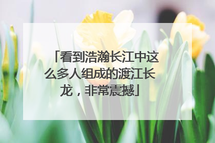 看到浩瀚长江中这么多人组成的渡江长龙，非常震撼
