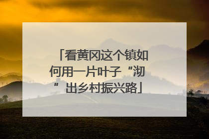 看黄冈这个镇如何用一片叶子“沏”出乡村振兴路