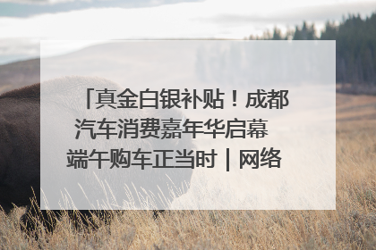 真金白银补贴！成都汽车消费嘉年华启幕 端午购车正当时｜网络中国节·端午