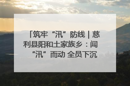 筑牢“汛”防线｜慈利县阳和土家族乡：闻“汛”而动 全员下沉筑牢防汛“安全堤”