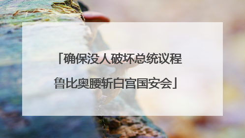 确保没人破坏总统议程 鲁比奥腰斩白宫国安会