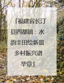 福建省长汀县四都镇：水韵圭田绘新景 乡村振兴谱华章
