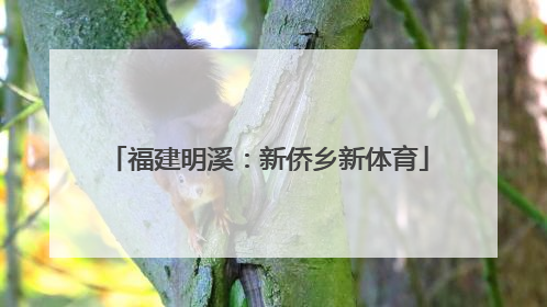 福建明溪：新侨乡新体育