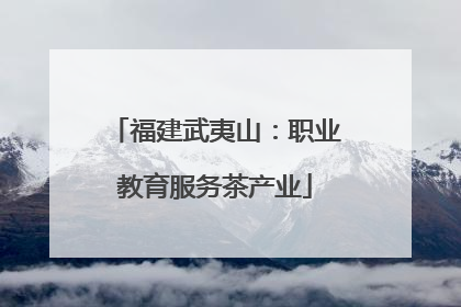 福建武夷山：职业教育服务茶产业