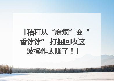 秸秆从“麻烦”变“香饽饽” 打捆回收这波操作太赚了！