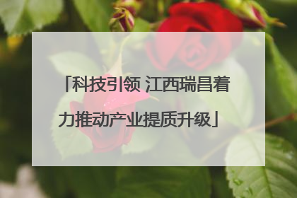 科技引领 江西瑞昌着力推动产业提质升级