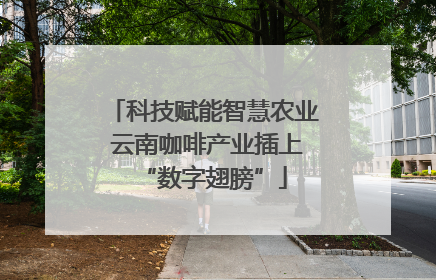 科技赋能智慧农业 云南咖啡产业插上“数字翅膀”