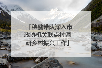 秧励带队深入市政协机关联点村调研乡村振兴工作