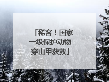 稀客！国家一级保护动物穿山甲获救
