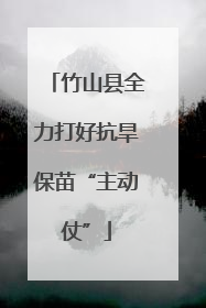 竹山县全力打好抗旱保苗“主动仗”