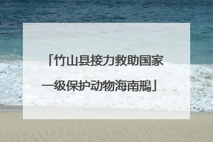 竹山县接力救助国家一级保护动物海南鳽