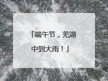 端午节，芜湖中到大雨！