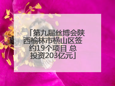 第九届丝博会陕西榆林市横山区签约19个项目 总投资203亿元