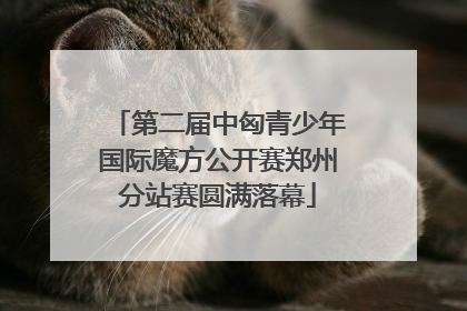 第二届中匈青少年国际魔方公开赛郑州分站赛圆满落幕