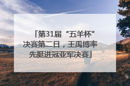 第31届“五羊杯”决赛第二日，王禹博率先挺进冠亚军决赛