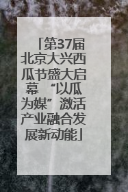第37届北京大兴西瓜节盛大启幕 “以瓜为媒”激活产业融合发展新动能