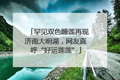 罕见双色睡莲再现济南大明湖，网友直呼“好运莲莲”
